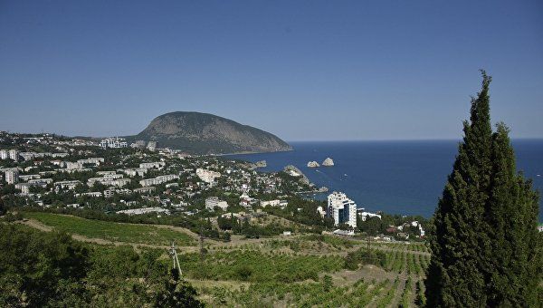 Медведь Гора, Партенит